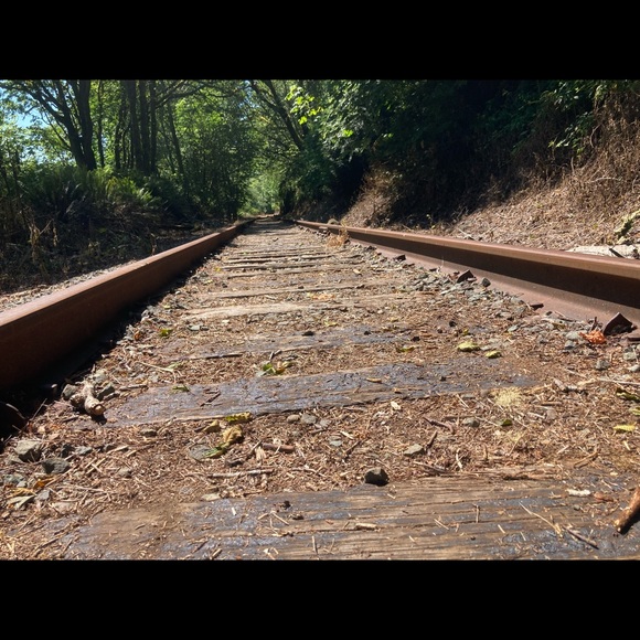 Meet your Posher, Bella - Picture 2 of 7